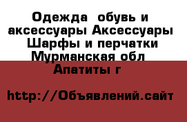 Одежда, обувь и аксессуары Аксессуары - Шарфы и перчатки. Мурманская обл.,Апатиты г.
